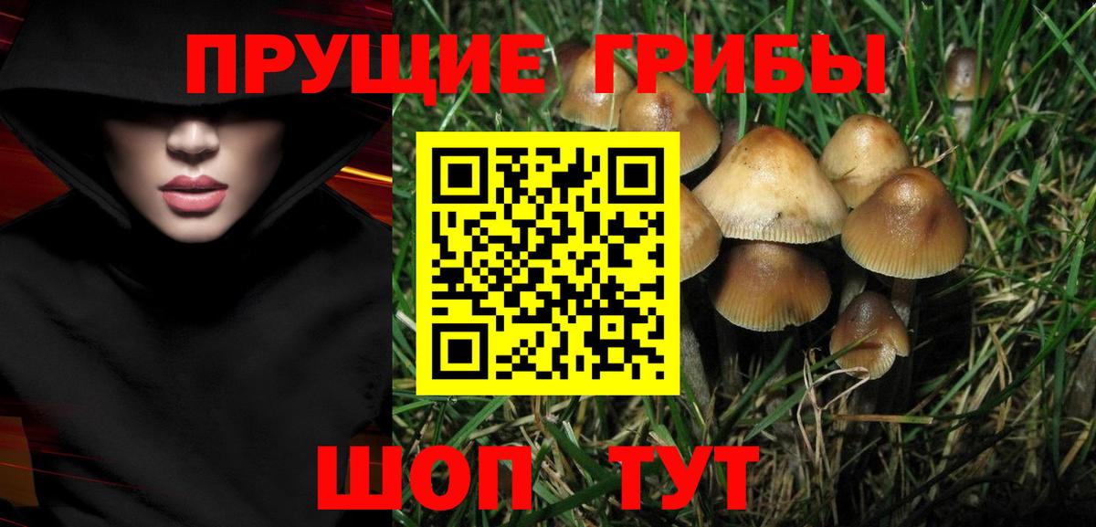 Галлюциногенные грибы Psilocybine cubensis Нефтекамск