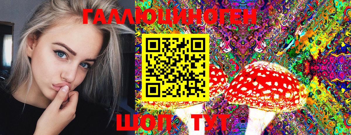Галлюциногенные грибы Psilocybine cubensis  Вход с VPN  Нефтекамск  Галлюциногенные грибы прущие грибы 